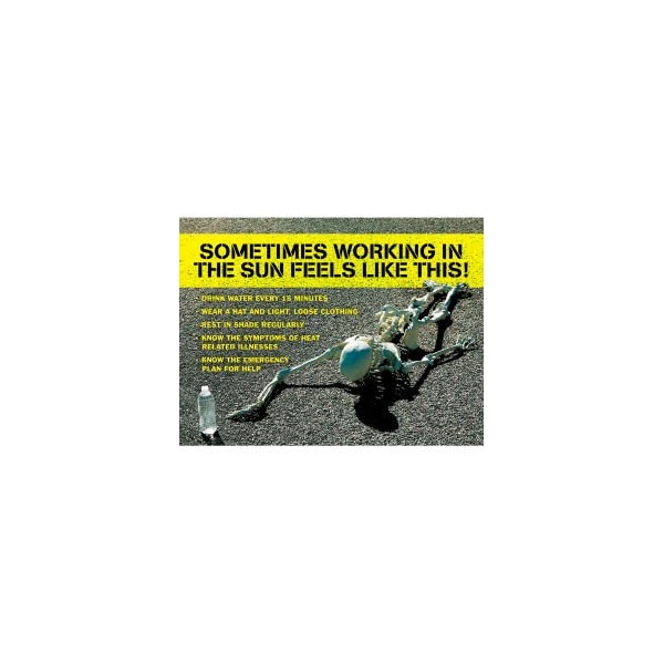 Accuform Safety Poster, SOMETIMES WORKING IN THE SUN FEELS LIKE THIS, 17inH x 22inW, Paper SP125178 - main